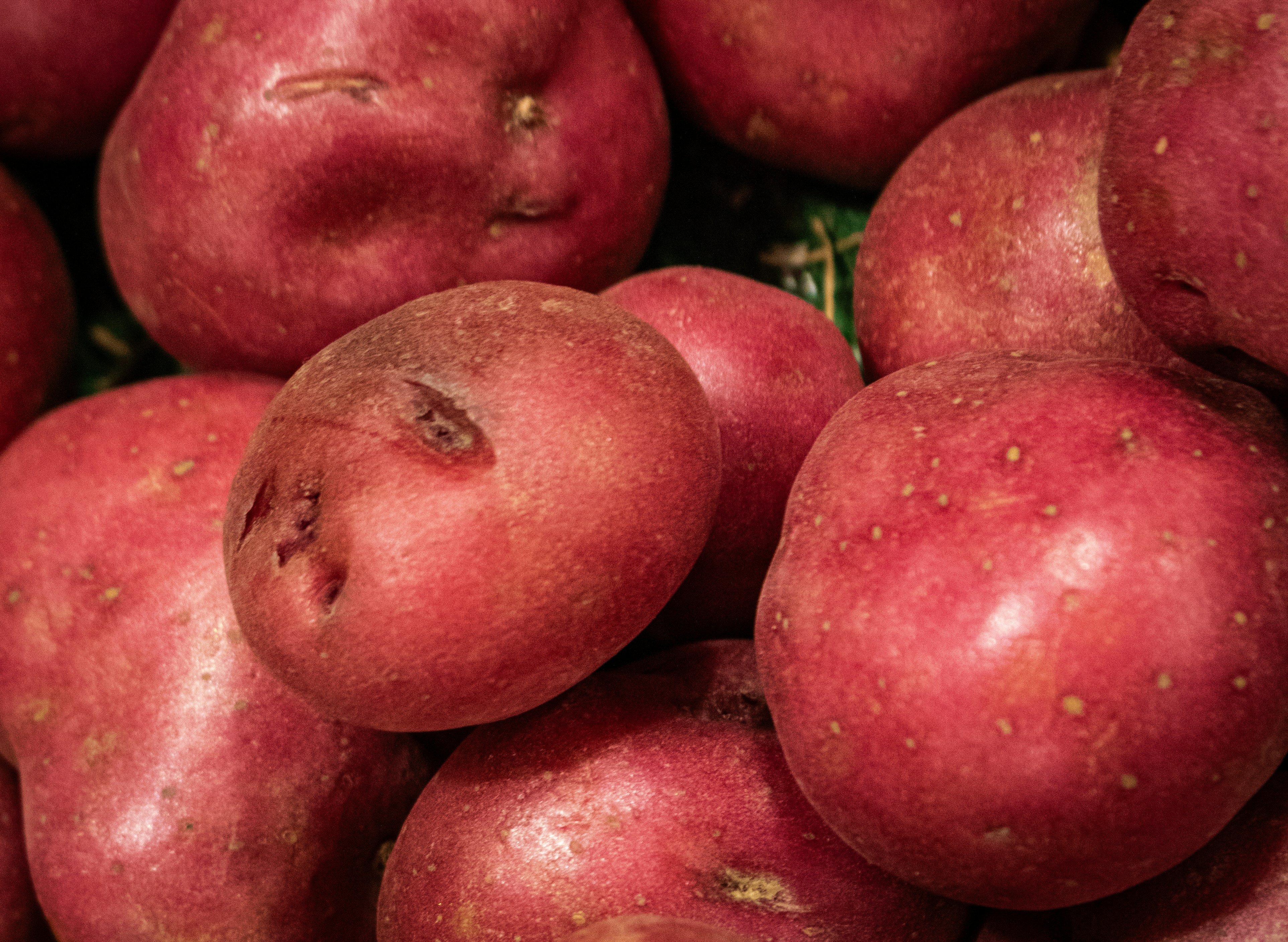 Pommes de terre Rosenhal